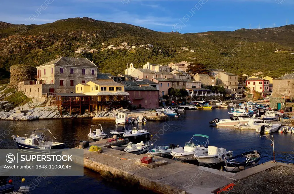 Harbour, fishing village, Port de Centuri, Cap Corse, Corsica, France
