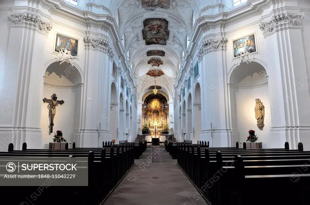Interior, nave, Neumünster Collegiate Church, Würzburg, Lower Franconia, Bavaria, Germany