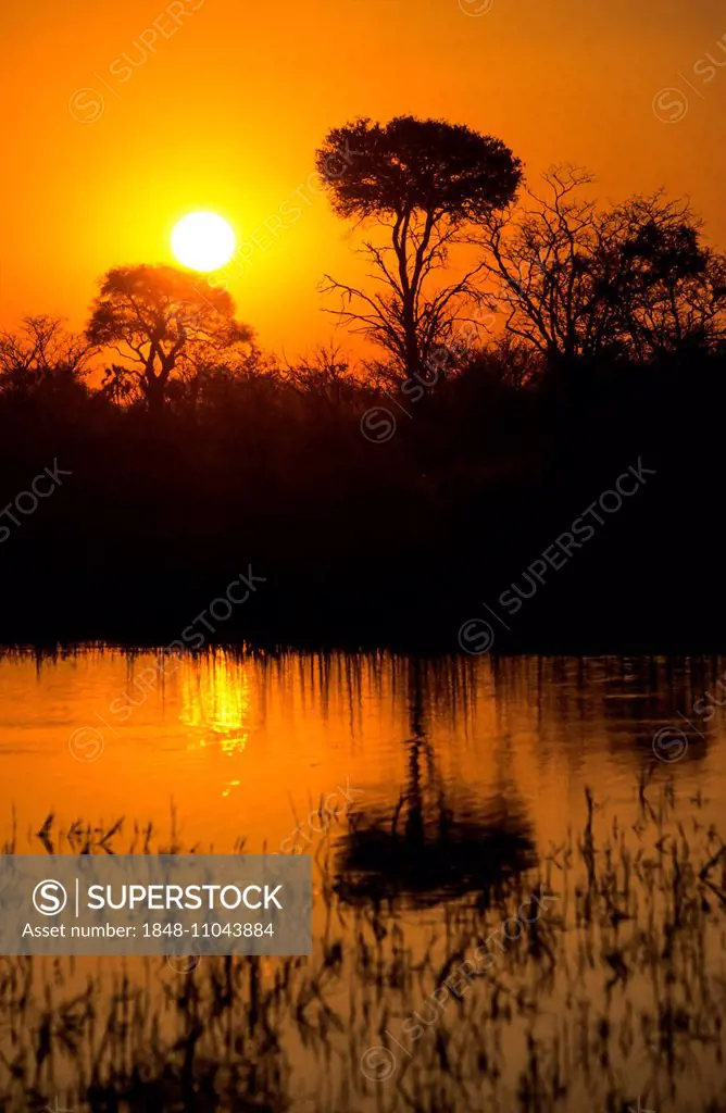 Sunset over the Chobe River, Kasane, Chobe, Botswana