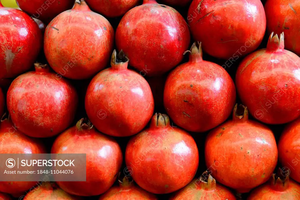 Pomegranates (Punica granatum) for sale, Mysore, Karnataka, South India, India