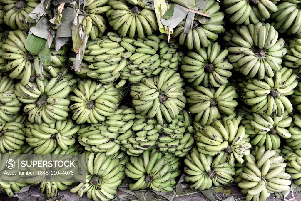 Bananas for sale, Mysore, Karnataka, South India, India