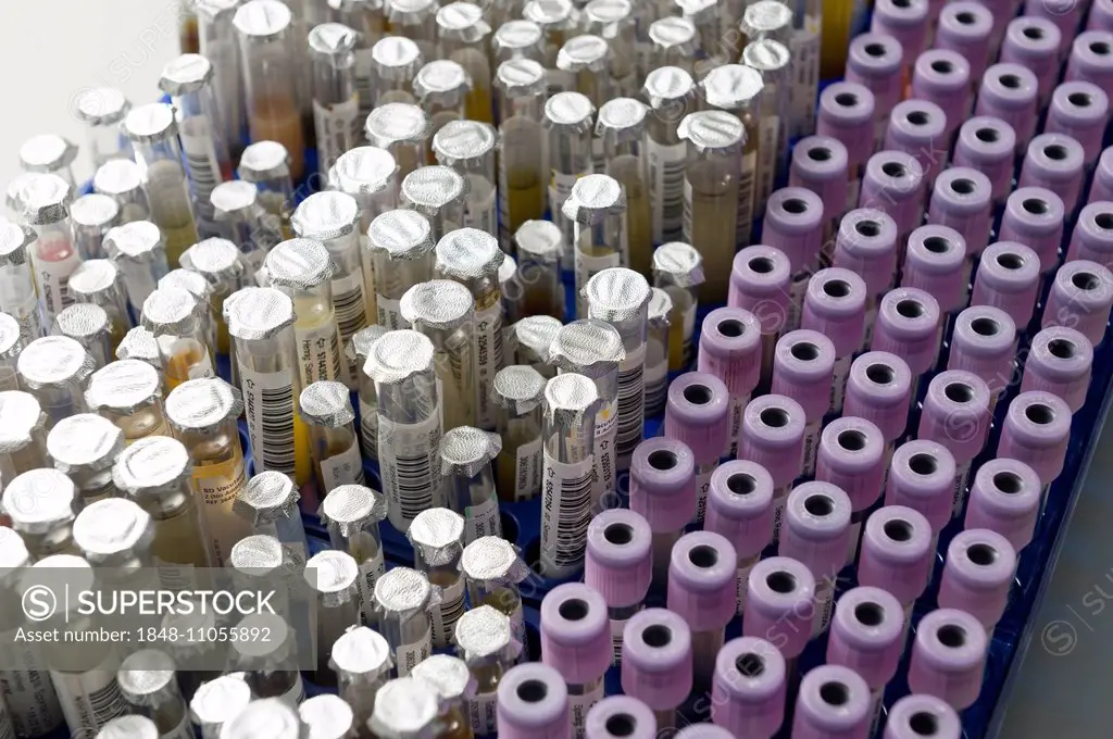 Test tubes with samples in a medical laboratory, Germany