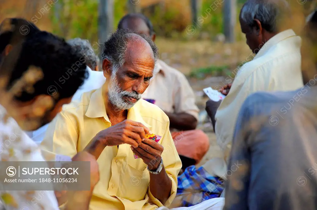Men playing cards, Kerala, South India, India