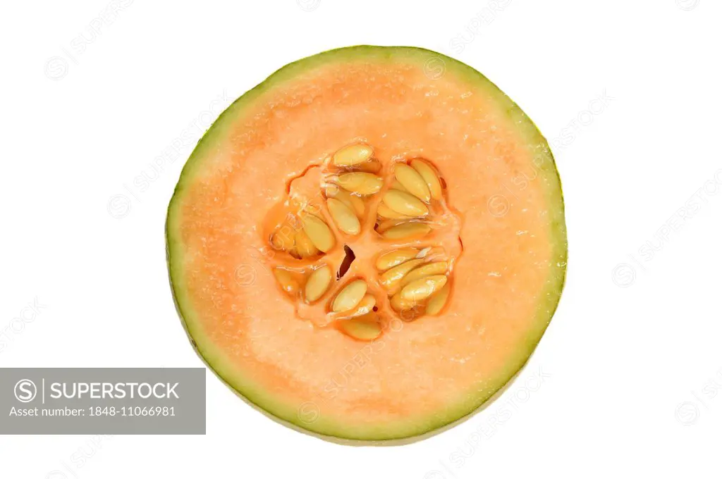 Cantaloupe or Honeydew Melon (Cucumis melo), halved fruit