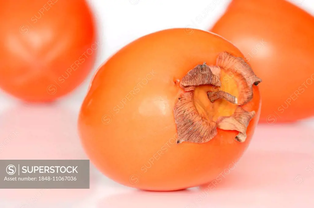 Japanese Persimmon, Kaki Persimmon or Sharon Fruit (Diospyros kaki)
