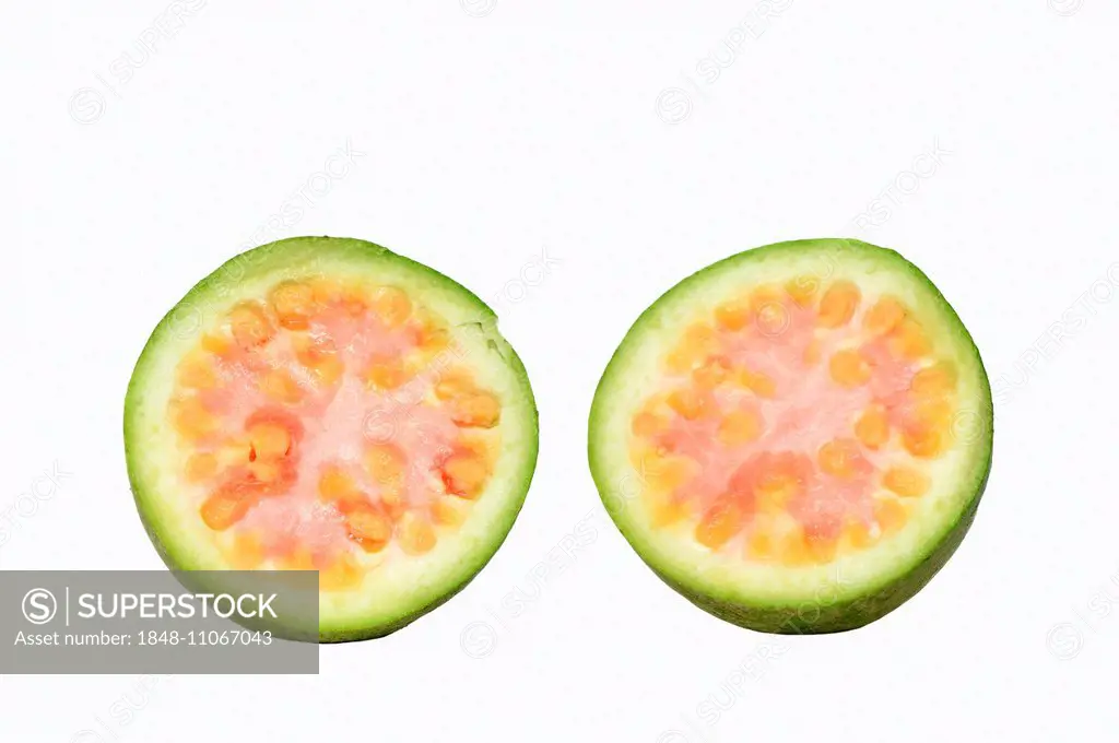 Apple Guava or Common Guava (Psidium guajava), halved fruit