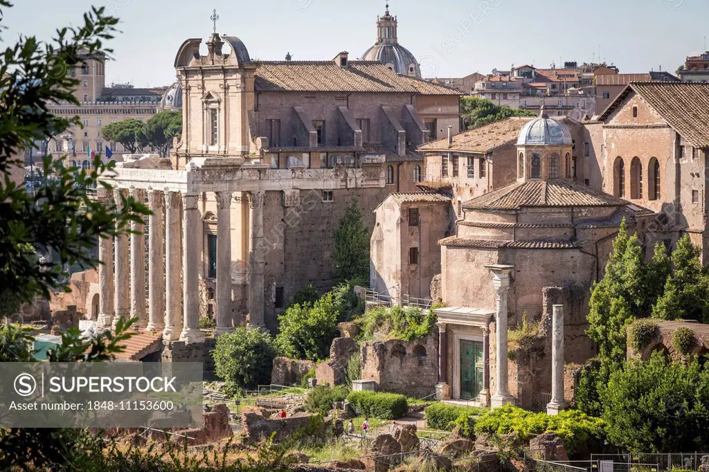 Temple of Antoninus and Faustina, Roman Forum, Rome, Lazio, Italy