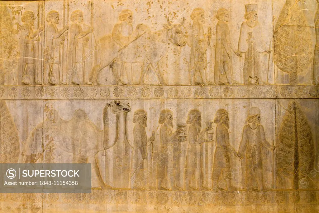 Relief of the Apadana, Persepolis, Fars, Iran