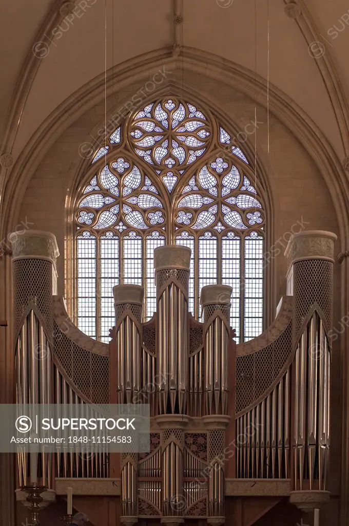 Cathedral organ in the eastern transept with rosette window, Sankt Paulus Dom, Münster Cathedral, Münster, Münsterland, North Rhine-Westphalia, German...