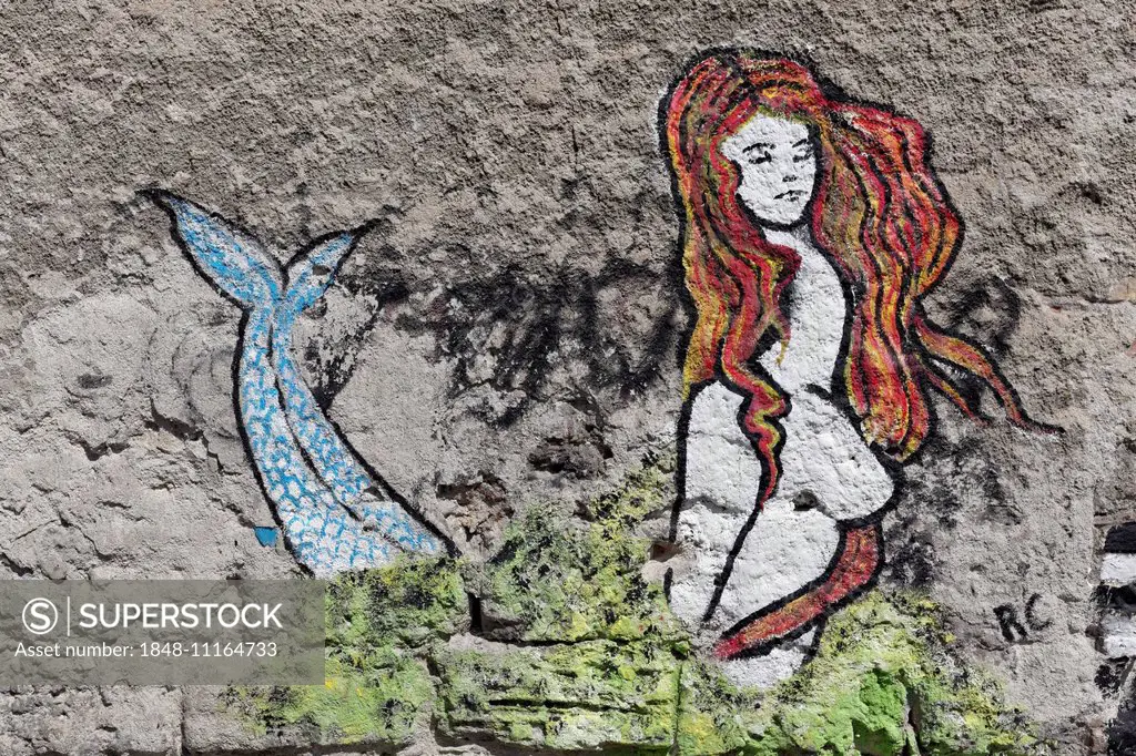 Mermaid, mural in the historic centre, Palermo, Province of Palermo, Sicily, Italy