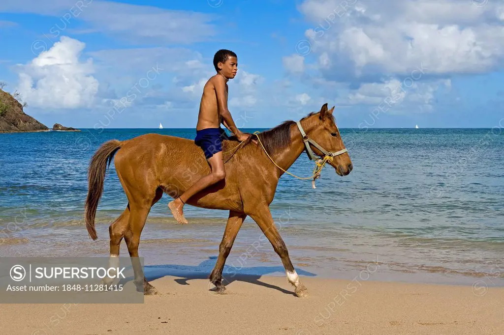 Boy riding on a horse on the beach, Saint Lucia