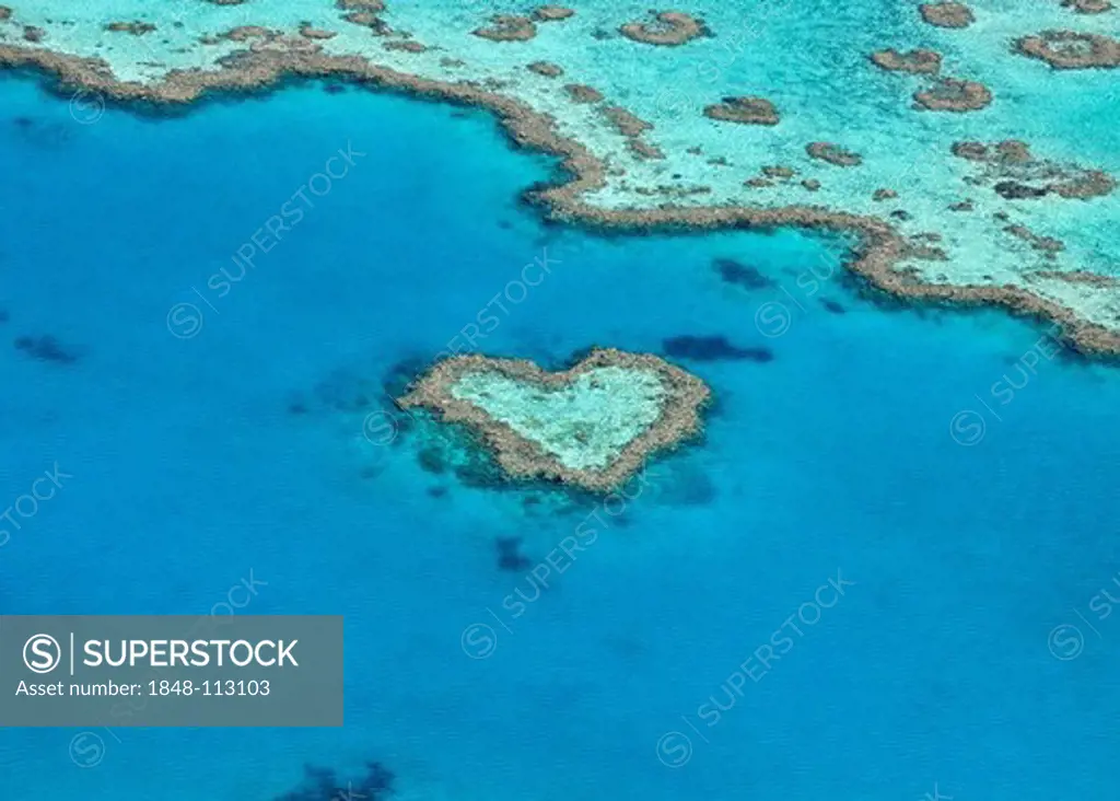 Aerial view of the ocean floor, Heart Reef, heart_shaped reef, Great Barrier Reef World Heritage Area, Great Barrier Reef, UNESCO World Heritage Site, Queensland, South Pacific, Australia