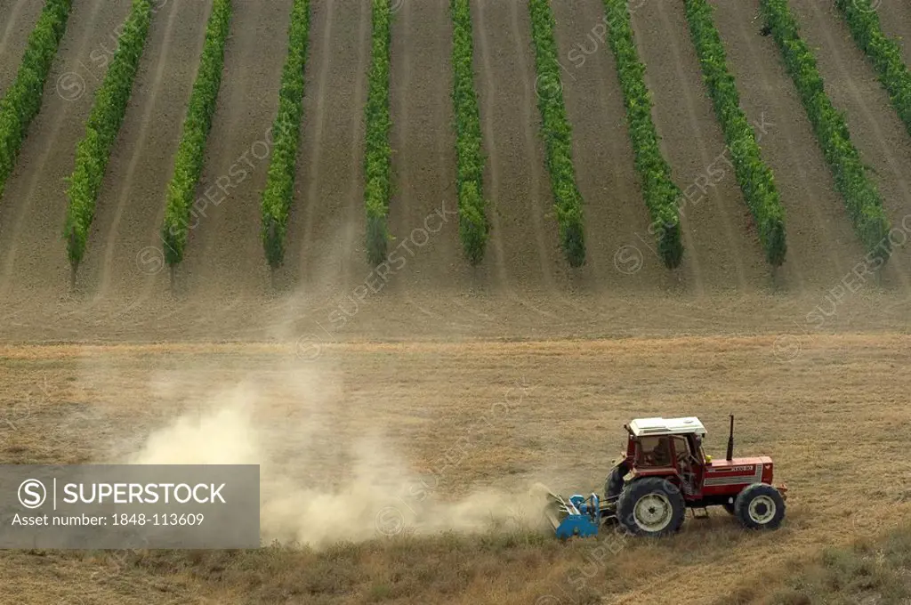 Tractor at field work in the vineyard, Tuscany, Italy