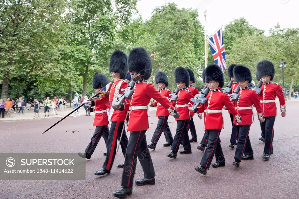 Changing of the Guard in The Mall, on their way to Buckingham Palace, City of Westminster, London, England, United Kingdom