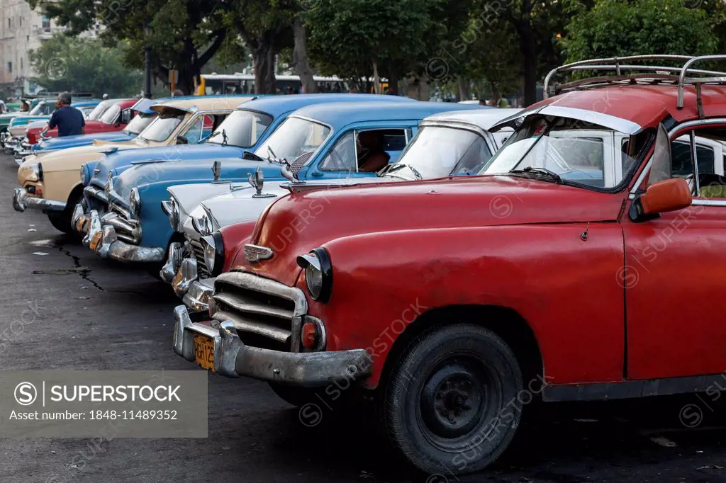 Vintage cars, Parque de la Fraternidad Americana, Havana, Cuba