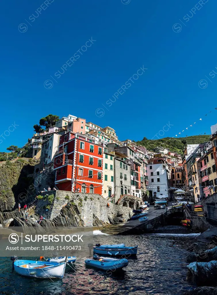 Town view with harbor and colorful houses, Riomaggiore, Cinque Terre, La Spezia, Liguria, Italy