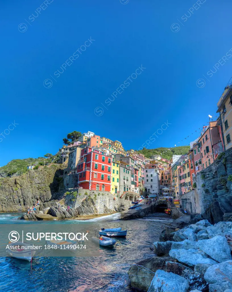 Town view with harbor and colorful houses, Riomaggiore, Cinque Terre, La Spezia, Liguria, Italy
