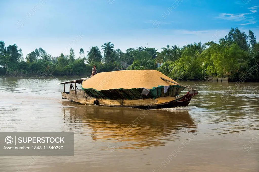 Traditional freighter loaded with rice on the Mekong, Nam Bo, Can Tho, Mekong Delta, Vietnam