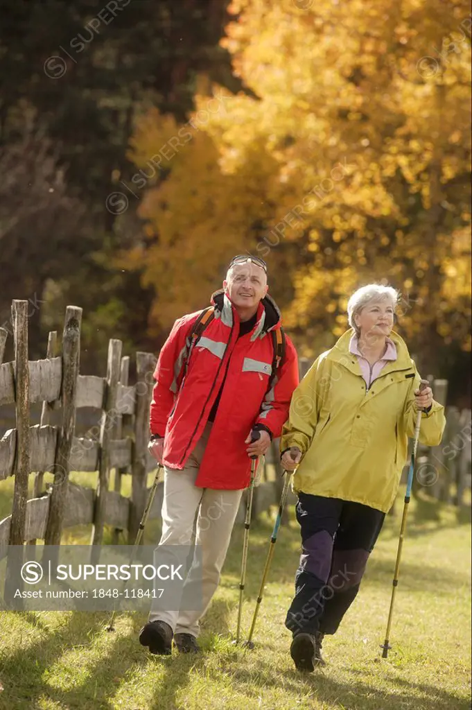 Old-aged couple Nordic walking