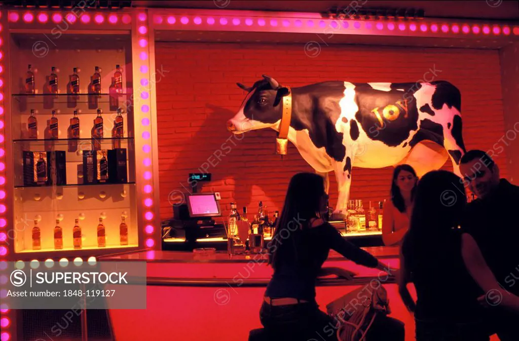 Disco Joy Eslava , Madrid , Spain , Europe : Bar in pink with cow decoration