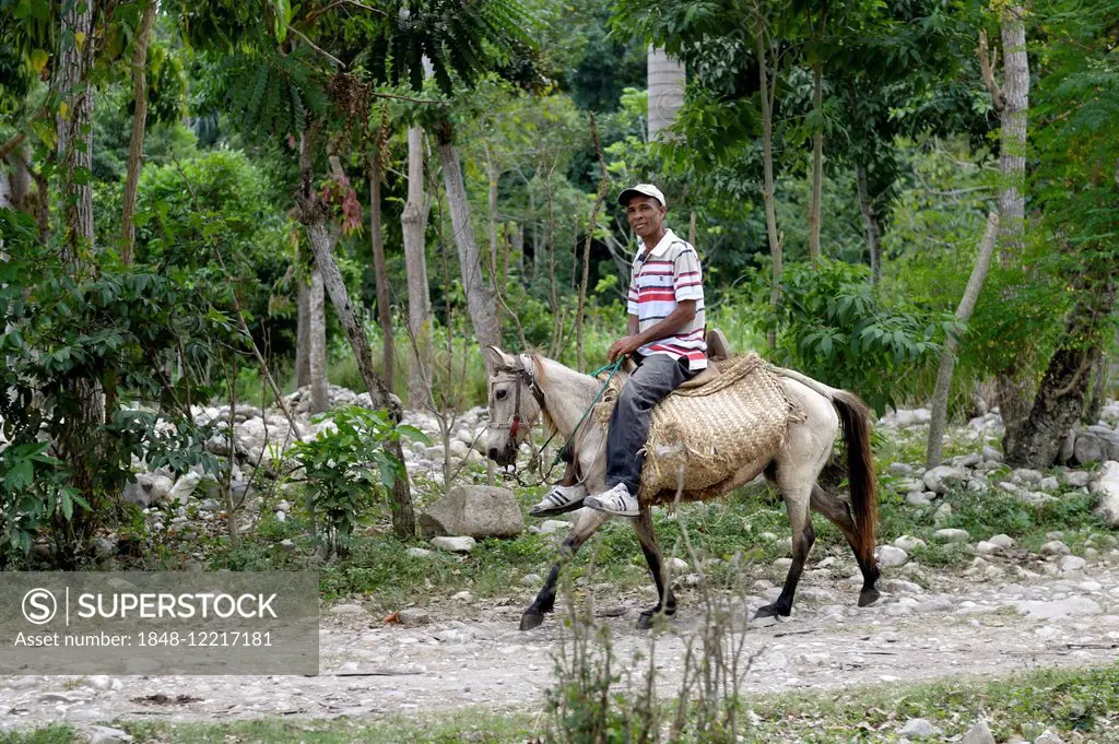 Man on horseback, Cotes-de-Fer, Sud-Est Department, Haiti