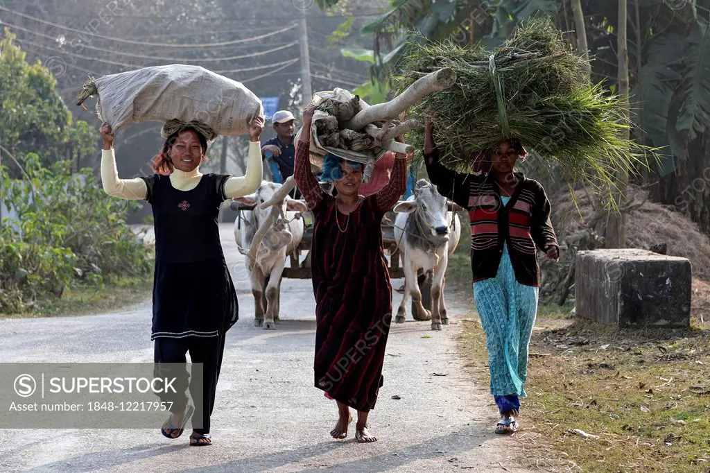 Nepalese women carrying goods on their heads, Sauraha, Nepal