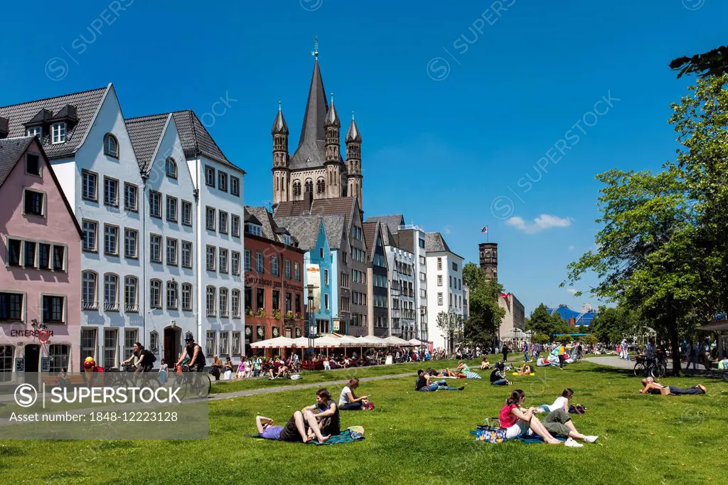 Rhine Promenade, meadow on the Rhine and Great St. Martin Church, historic centre, Cologne, North Rhine-Westphalia, Germany
