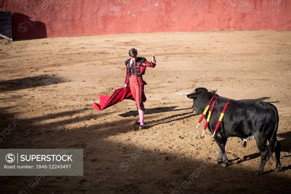 Bullfighter, bullfighting, El Barco de Avila, Avila, Spain