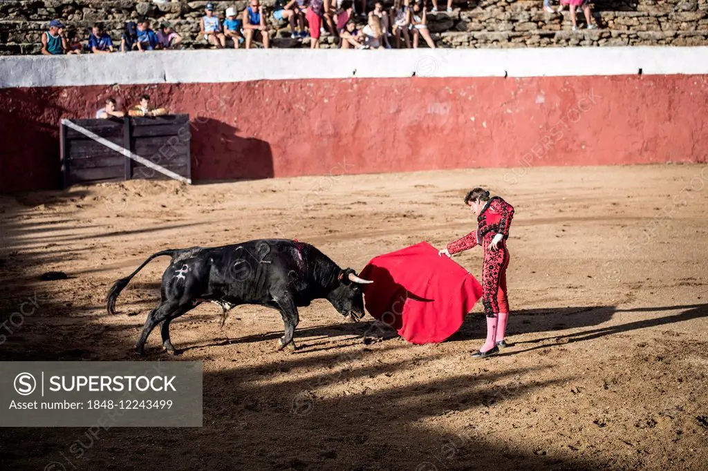 Torero and bull, bullfight, El Barco de Avila, Avila, Spain