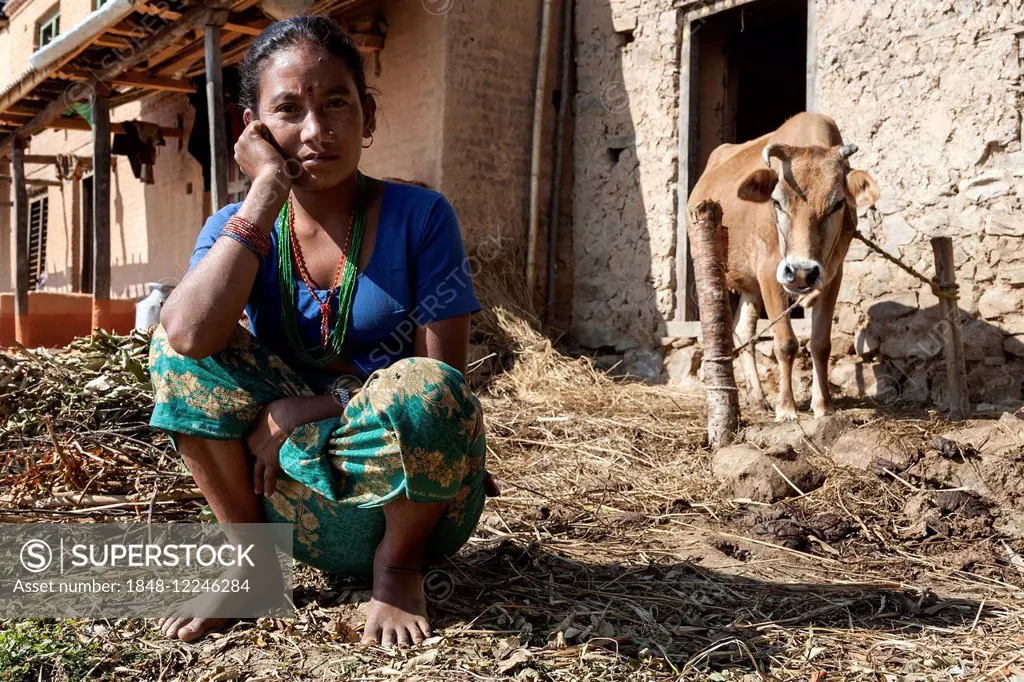 Nepalese farmer with cow on Nagarkot, Nepal