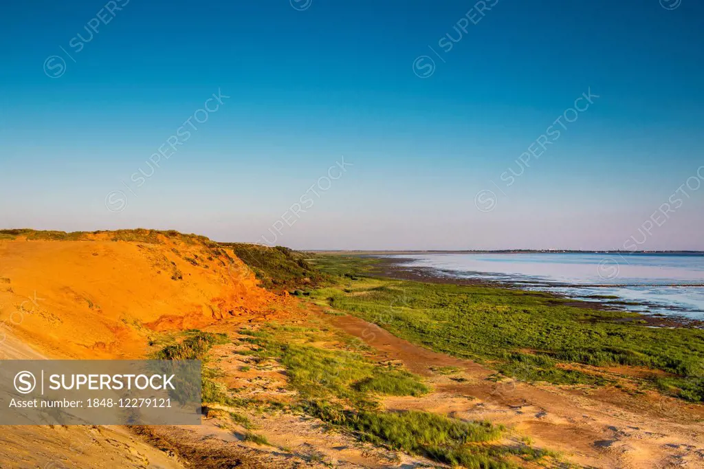 Morsum Cliff, Sylt, North Frisia, Schleswig-Holstein, Germany