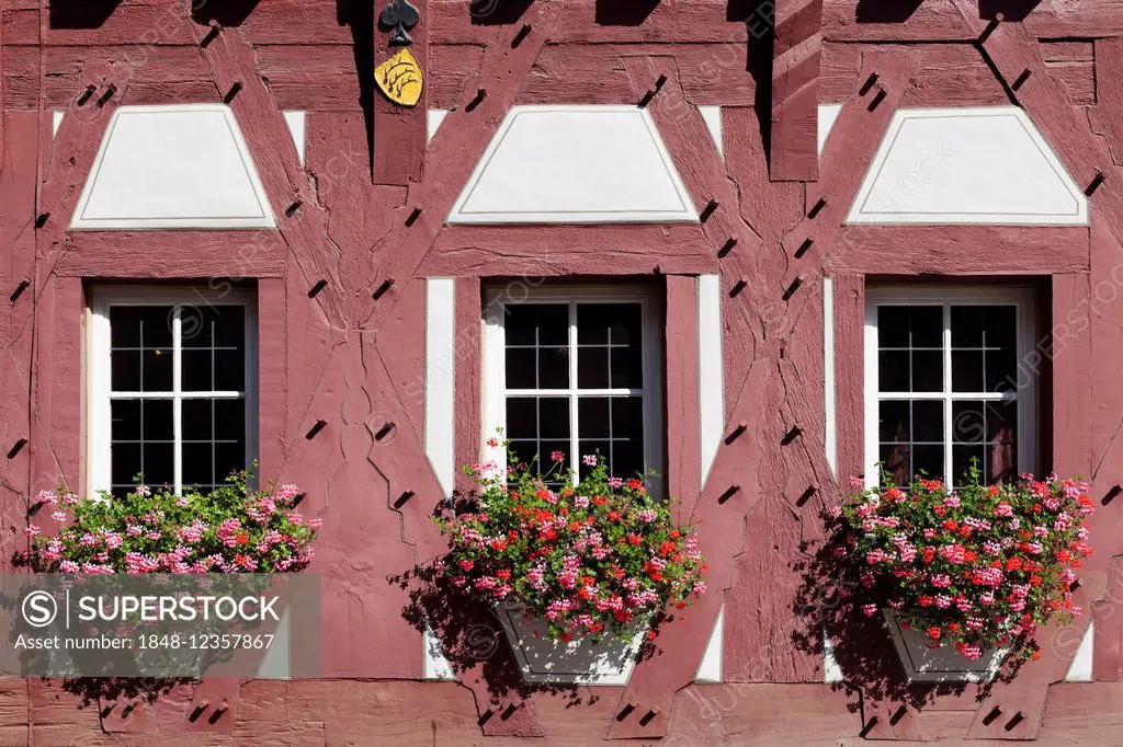 Flowers at the windows of the town hall, Markgröningen, Baden-Württemberg, Germany