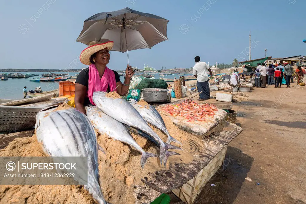 Woman selling fish, Vizhinjam, Kerala, India