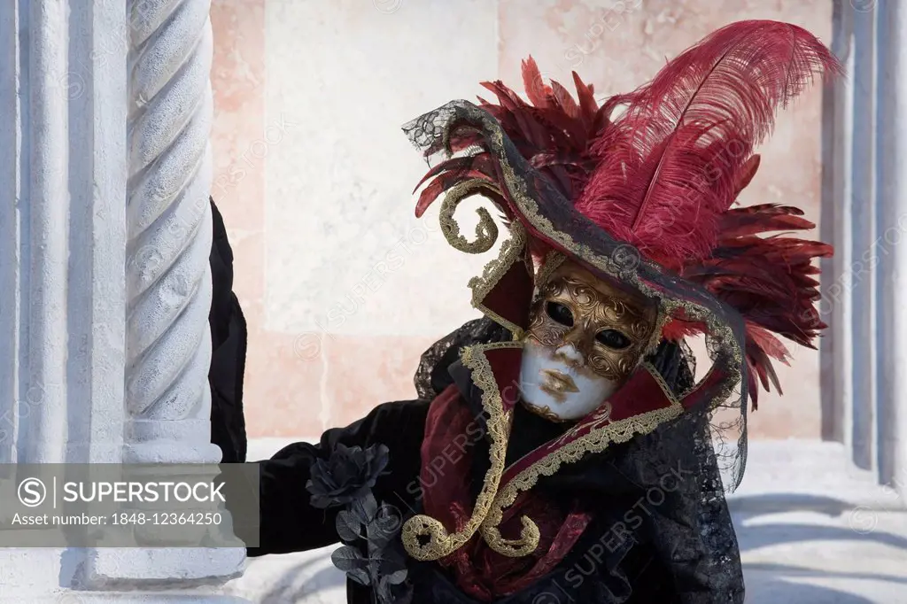 Venetian carnival costume and mask, Carnival of Venice, Venice, Veneto, Italy