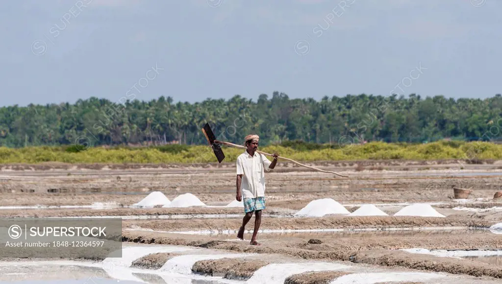 Saline worker, salt production, saltworks, near Thazhankadu, Tamil Nadu, India