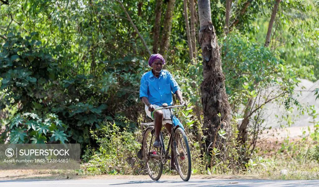Man riding a bicycle, Tamil Nadu, India