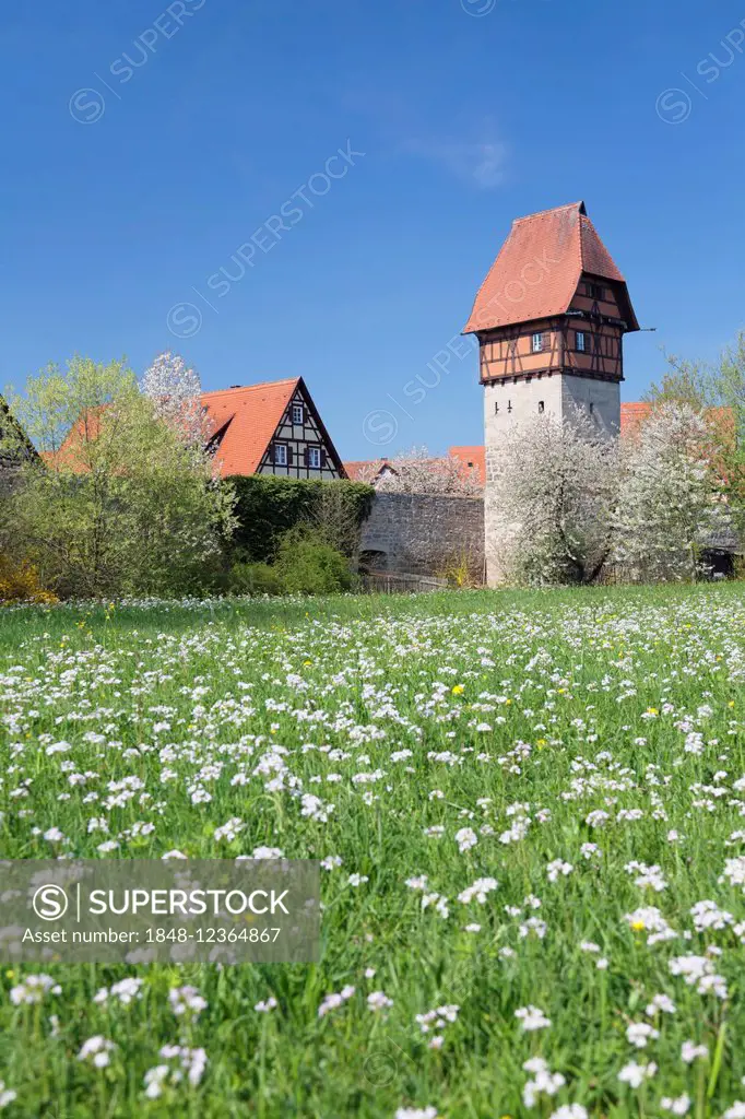 Bäuerlinsturm tower with city walls, Romantic Road, Dinkelsbühl, Middle Franconia, Franconia, Bavaria, Germany