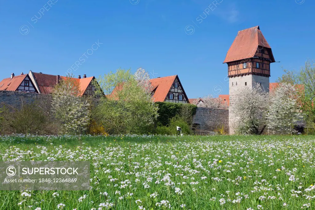 Bäuerlinsturm tower with city walls, Romantic Road, Dinkelsbühl, Middle Franconia, Franconia, Bavaria, Germany