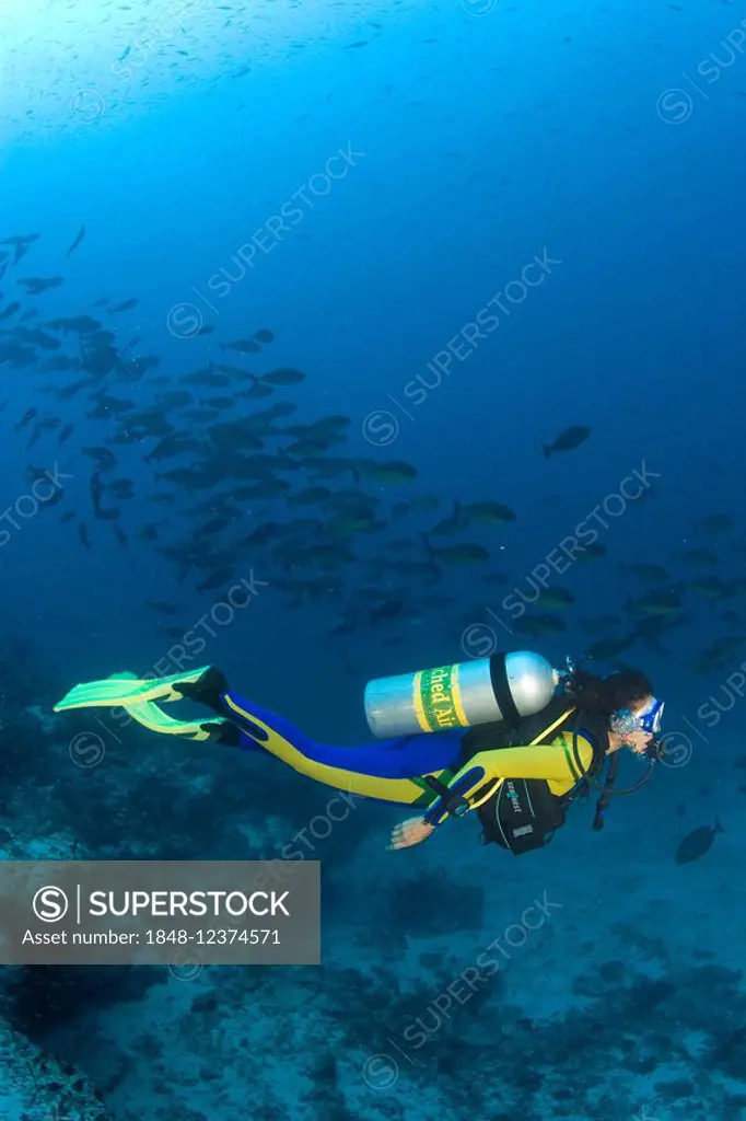 Diver with a Nitrox tank swims in a coralreef.