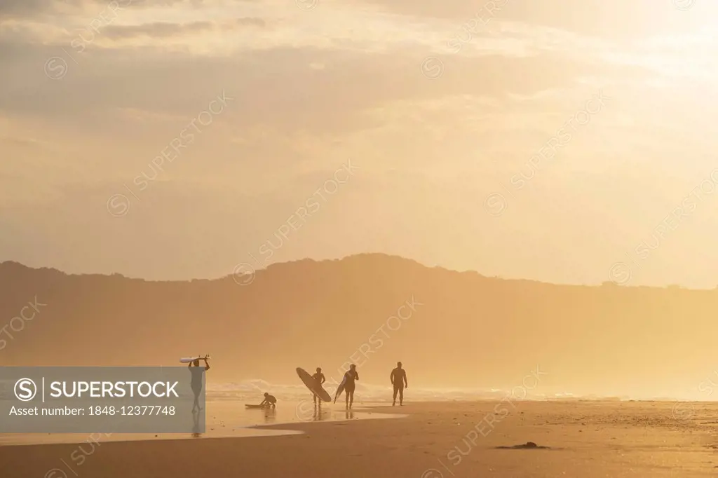 Surfer in the evening in backlight, beach at Sedgefield, South Africa