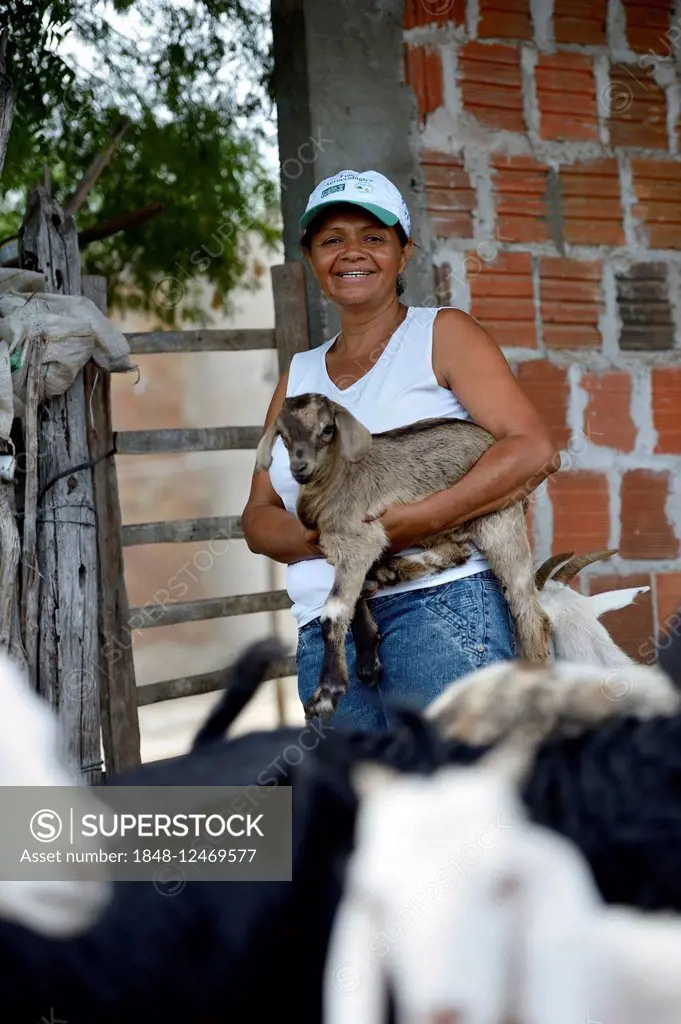 Woman holding a goatling, Goat (Capra hircus aegagrus), Caladinho, Uaua, Bahia, Brazil