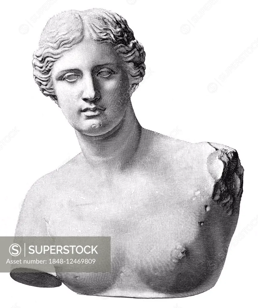 The Venus of Milo, or Aphrodite of Melos, a statue of the goddess, historical illustration