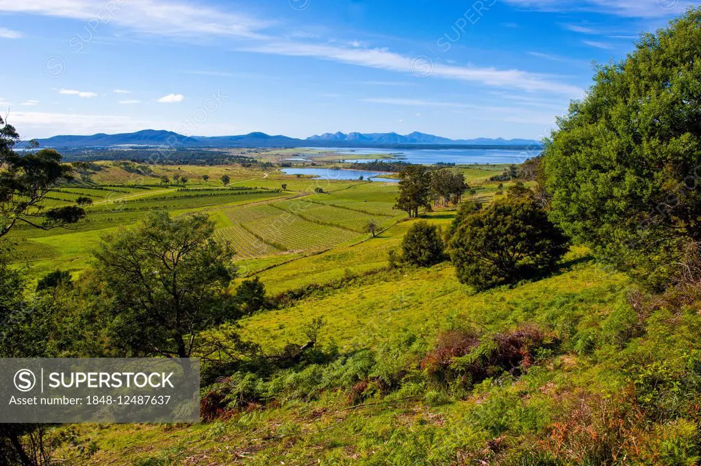 Landscape at the east coast, Tasmania