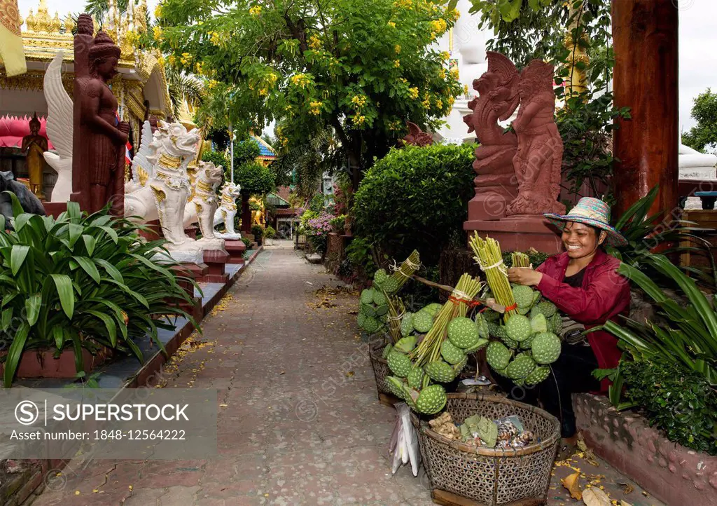 Woman selling lotus fruits in Wat Phra Chao Tai Yai Ong Tue temple, Ubon Ratchathani, Isan, Isaan, Thailand
