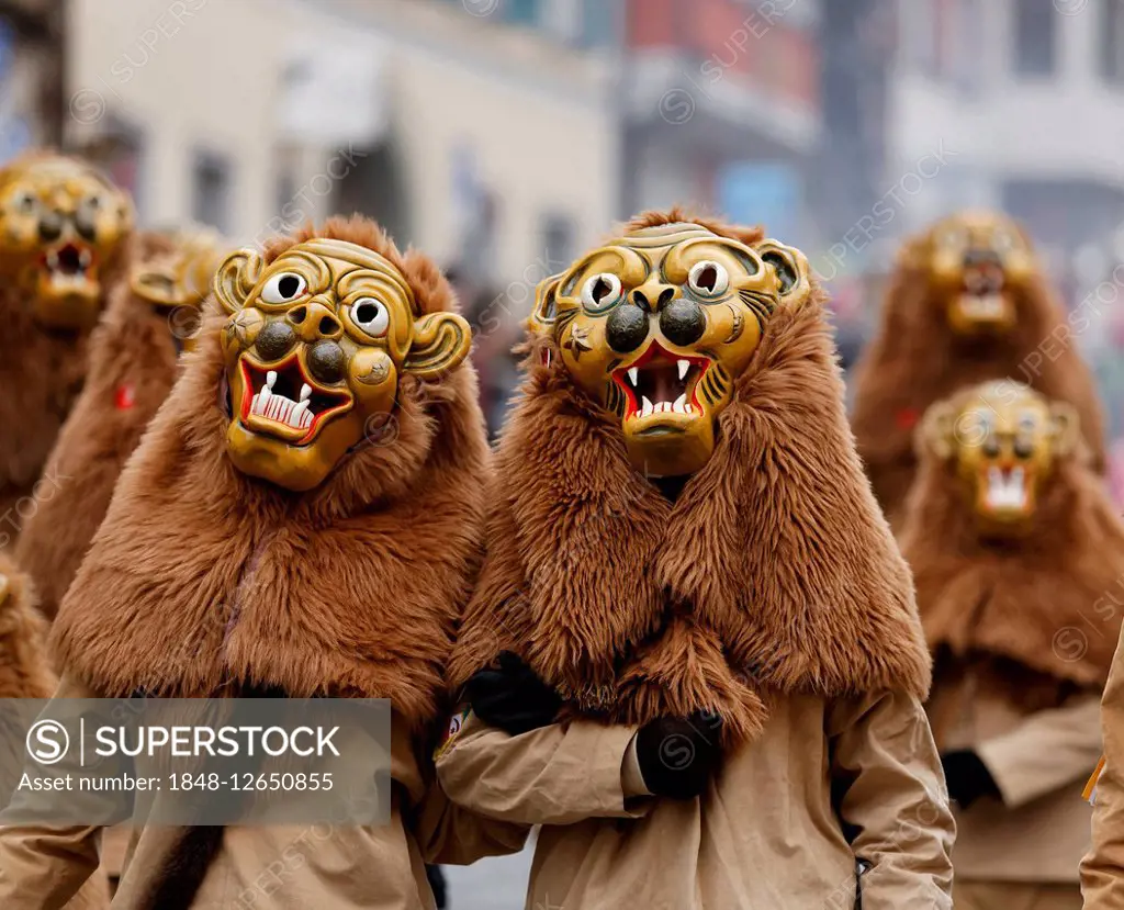 Lions of the Mengener Narrenzunft fool's guild, Swabian-Alemannic carnival, carnival procession, Ravensburg, Upper Swabia, Baden-Württemberg, Germany