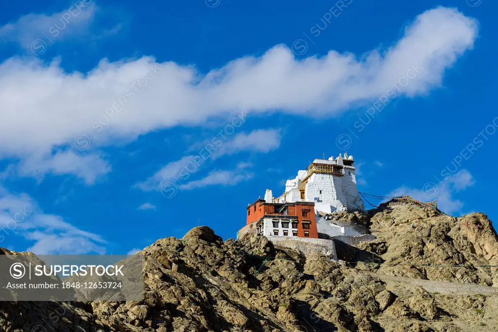 The monastery Namgyal Tsemo Gompa and Tsemo Fort on a mountain ridge, Leh, Jammu and Kashmir, India