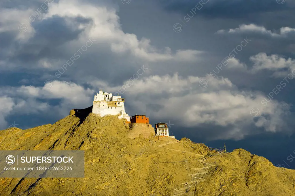 The monastery Namgyal Tsemo Gompa and Tsemo Fort on a mountain ridge, Leh, Jammu and Kashmir, India