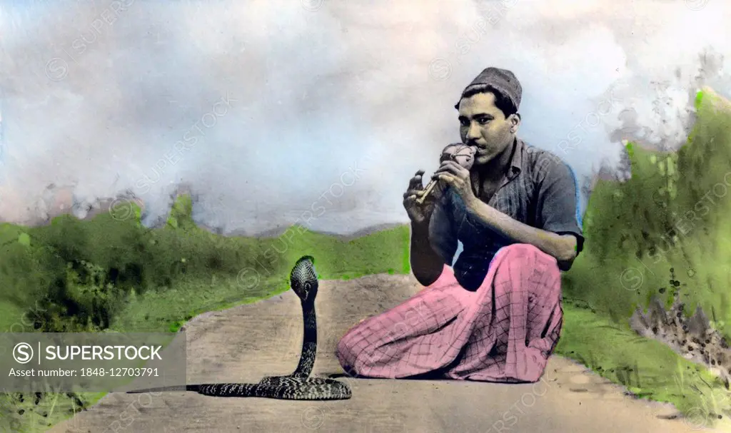 Snake charmer with a cobra (Naja naja), ca. 1910, India