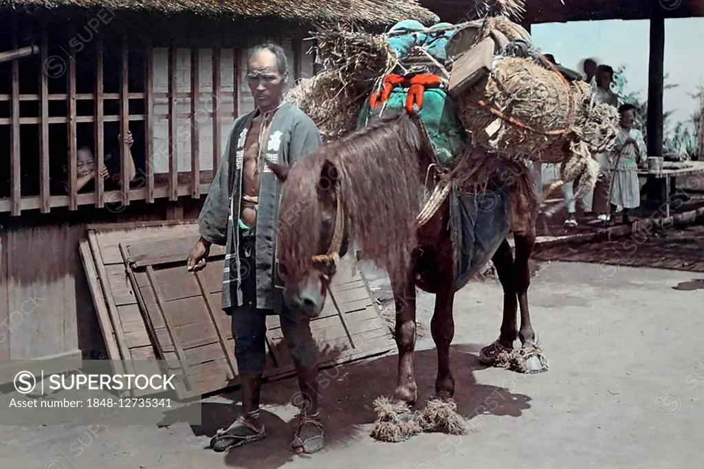 Japanese man with transport horse, Japan