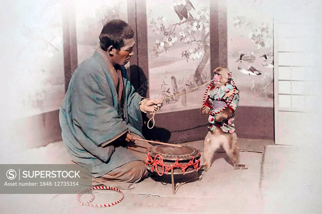 Trained monkey, Japan